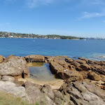 Rock pool on Green (Laings) Point (256148)