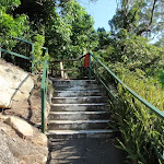 Steps on track in Cremorne Reserve (258800)