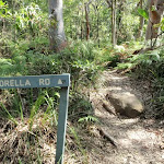 Bottom of Morella Rd Track (261560)