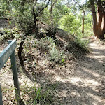 Bottom of Morella Rd track (261566)