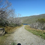 Management trail leading to Guthega Dam (262340)