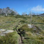 Walking up the Porcupine track near Perisher Valley Reservoir (263444)