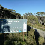 Summit Walk track head (265367)