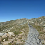 Main Range Track North of Mt Kosciuszko (266384)