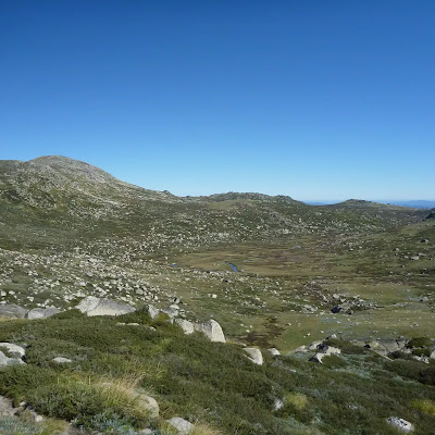 thum image