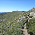 Narrow track above Albina Lake (267293)