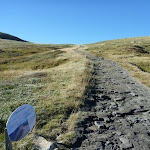 Main Range Track north of Carruthers Creek (268160)