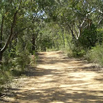Perimeter Trail near Terrey Hills (27281)