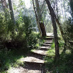 Steps Int of Merritts nature track and Sundowner service trail (275237)