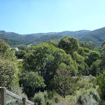 Looking across the Thredbo valley from the Pipeline Path (277313)