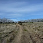 Walking along Round Mountain Trail (289166)