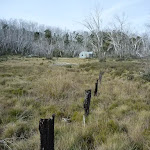 Old fence-line at Paton's Hut (290674)