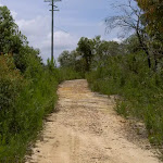 Trail along ridge top (29153)