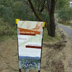 Information sign on the Thredbo Valley Track (295054)