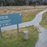 Bullocks Track trackhead (296474)