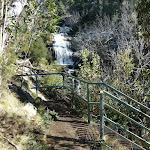 Sawpit Creek upper waterfall lookout (297518)