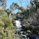 Sawpit Creek Falls (297527)