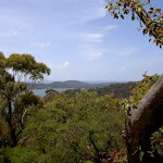 View over Pittwater from The Basin Track (29843)