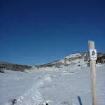 Rock Creek snowshoe pole line (299788)