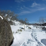 Boulder beside Rock Creek Snowshoe trail (299950)