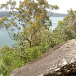 Views over the Hawkesbury River (30380)