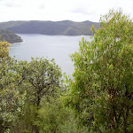 Views over the Hawkesbury (30386)