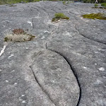 Aboriginal Rock Engraving close to West Head Rd.   (304056)
