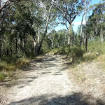 Elvina Track near West Head Rd. (304422)