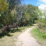 Perimeter Trail near Terrey Hills (305738)