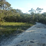 Perimeter Trail near Terrey Hills (307628)