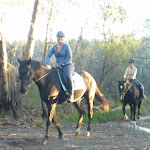 Horse riding on Cullamine Rd near Terrey Hills (307904)