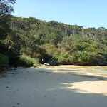 Southern end of Little Congwong Beach near La Perouse (308789)