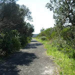 Trail near Henry Head (309581)