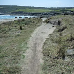 Track on Cape Banks in Botany Bay National Park (310163)