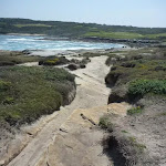 Cape Banks rocky track (310175)