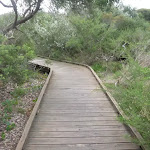 Timber boardwalk on Jennifer Street boardwalk (310796)