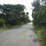 Henry Head Lane near Botany Bay National Park (310916)