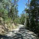 Sublime Point Trail east of Leura Falls Creek (318182)