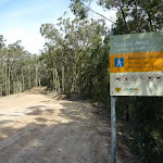 Large clearing and Special Area boundary on Sublime Point Trail west of Leura Falls Creek (318446)