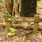 Walking trail sign near Muirs Lookout Cooranbong (320129)