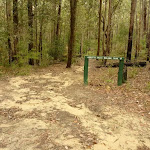 Track and sign in the Watagans (320885)