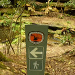 Timber track marker near the Moss Wall in the Watagans (322670)
