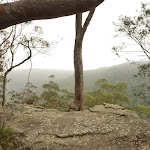 Gap Creek Viewpoint off Monkey Face road in the Watagans (322808)