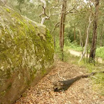 Track and rock near Gap Creek Viewpoint in the Watagans (322994)