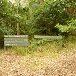 Track head at Gap Creek picnic area in the Watagans (323189)