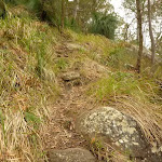 Rocky track near the monkey face cliff in the Watagans (323336)