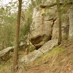 Rock cliff and cave at the base of Monkey Face cliff near Bangalow campsite in the Watagans (323348)