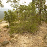 Western viewpoint near Mt Sugarloaf (324734)