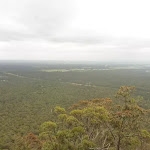 View from the western viewpoint near Mt Sugarloaf (324755)