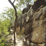 Long rock wall west of Hornsby Heights (328166)